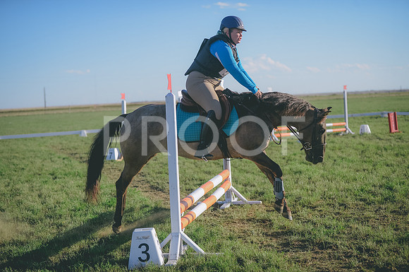 JJS_3558