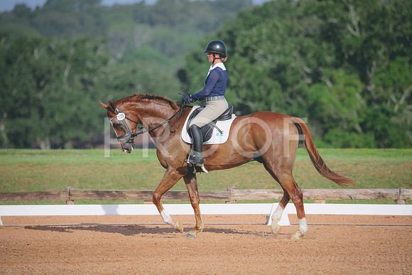 RWP_4420