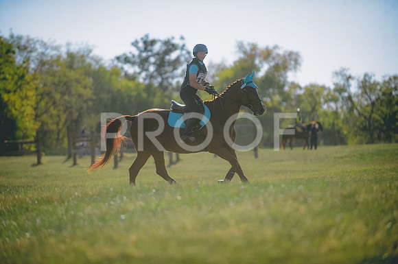 JJS_0449