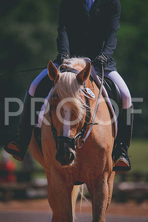 RWP_9888
