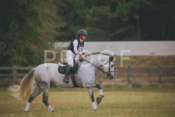 RWP_3539