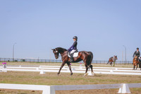 CLSL7264
