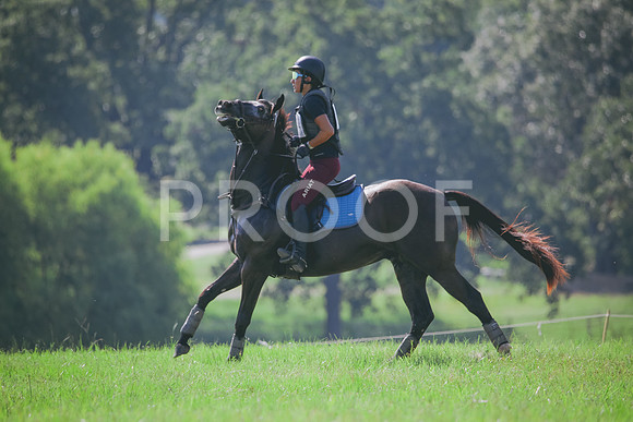 RWP_6443
