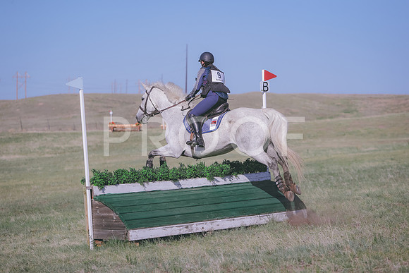 CDH_9503