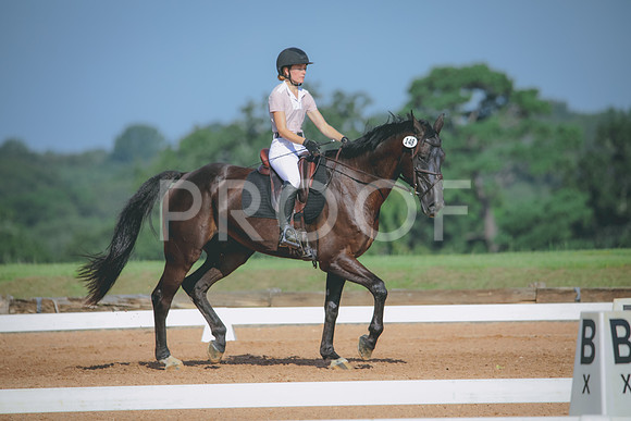 RWP_4646