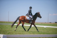 JJS_3198