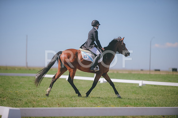 JJS_3198