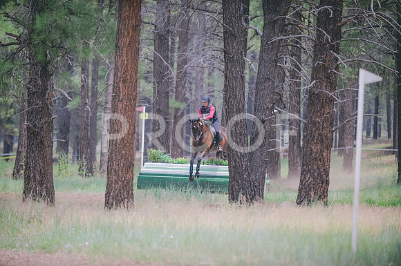 JJS_4701