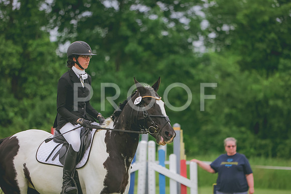 3T5A4142