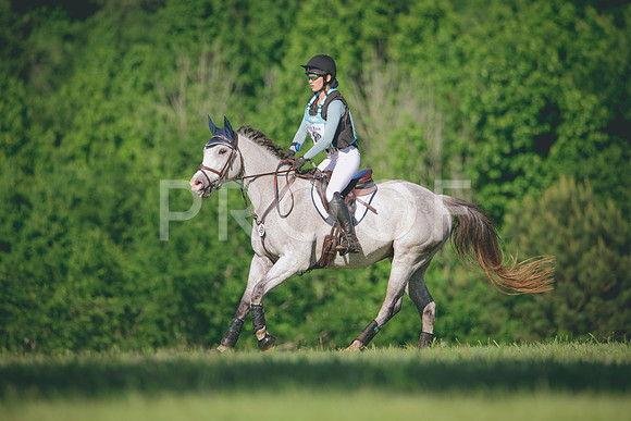 RWP_2448