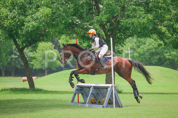 RWP_2337