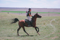 CDH_9099
