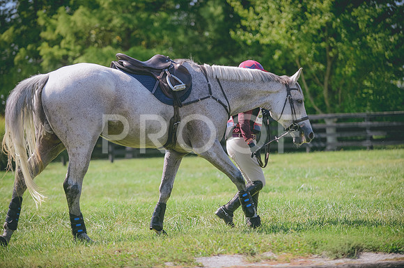 JJS_5297