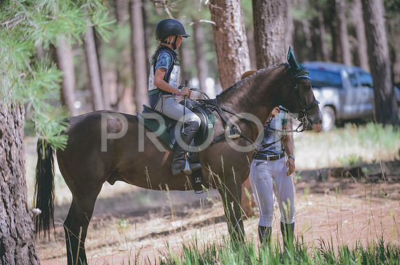 JJS_4128