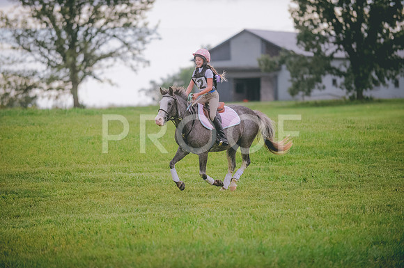 JJS_1512