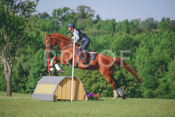 RWP_2944