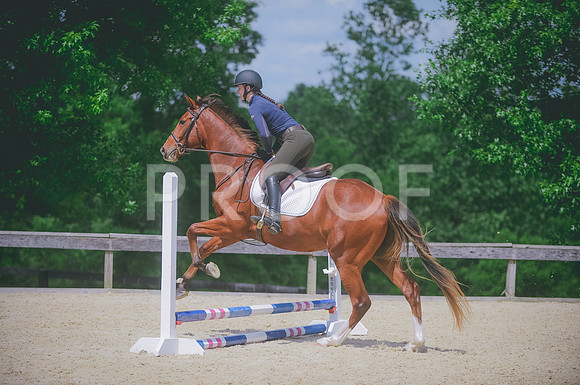 000_8749