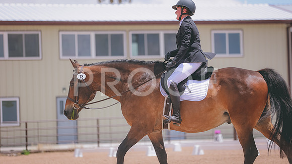 0N0A2778