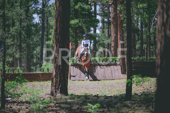 JJS_1692