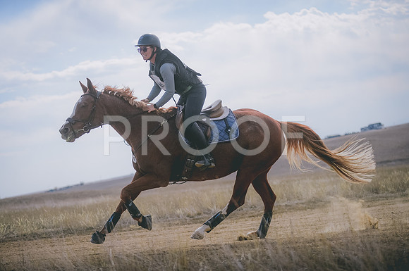 JJS_0838A