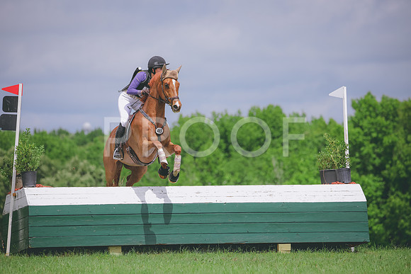 RWP_5834