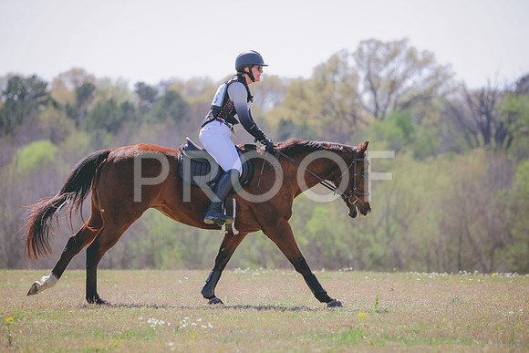 RWP_1313