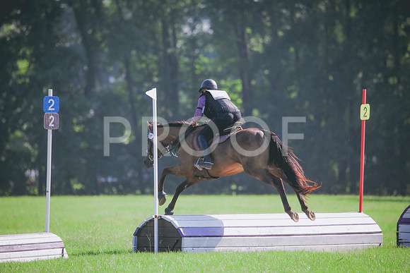 RWP_6310