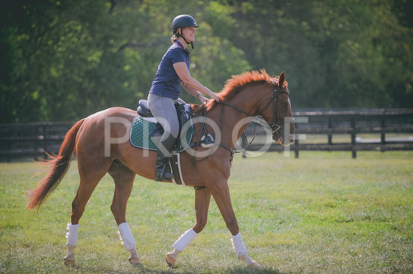 JJS_3191