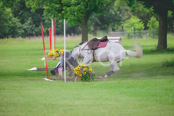RWP_2799
