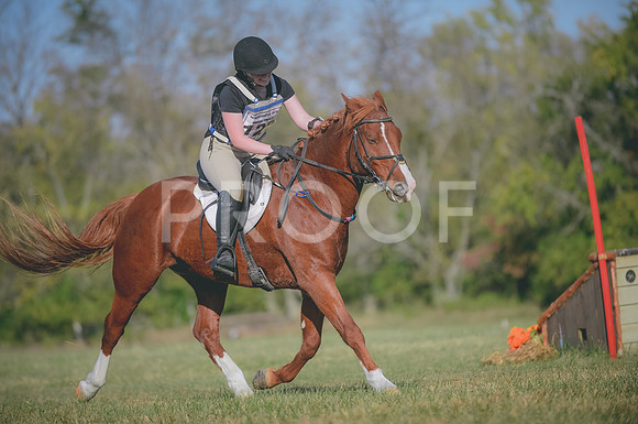 JJS_0598