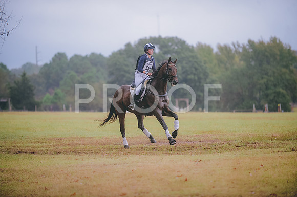 JJS_3642