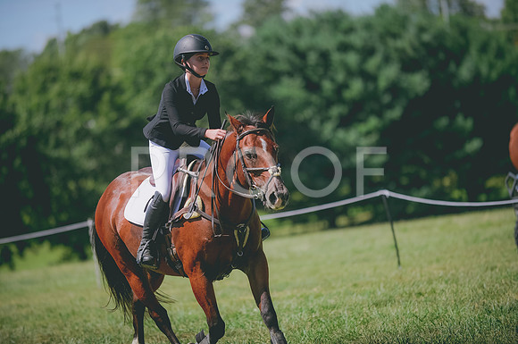 JJS_0574
