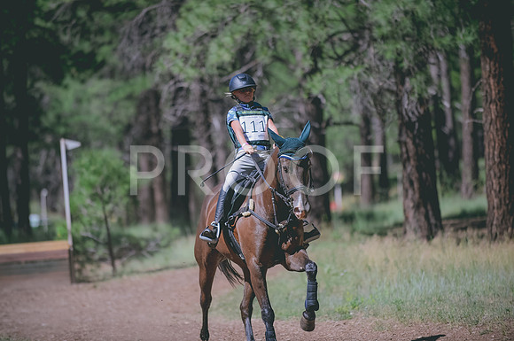 JJS_4076A