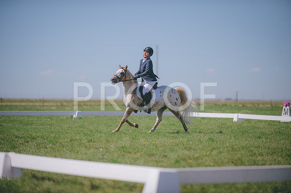 JJS_2630