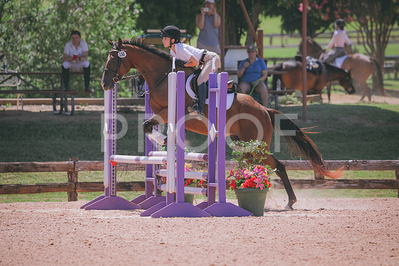 RWP_5336
