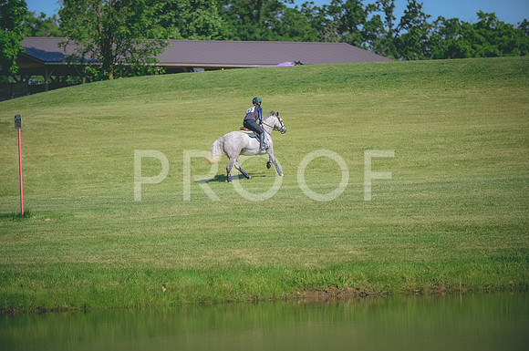 JJS_2929