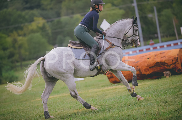 JJS_4199