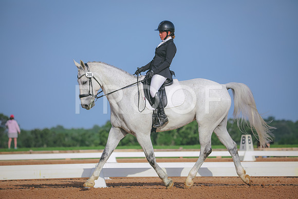 RWP_3719