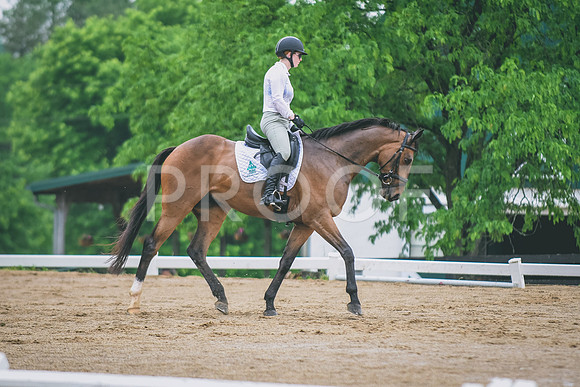 DSC_6558