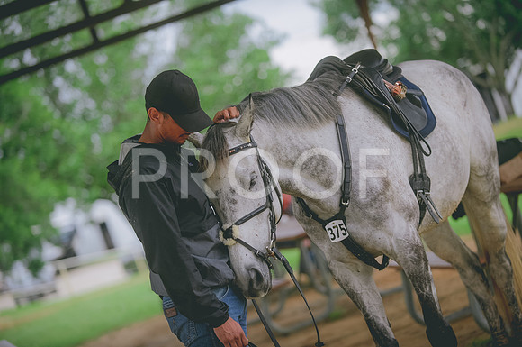 000_3487 copy