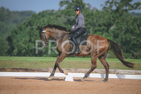 RWP_4518