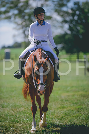 JJS_0848