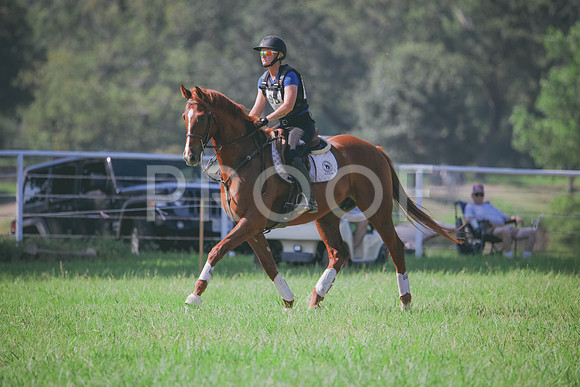 RWP_6474