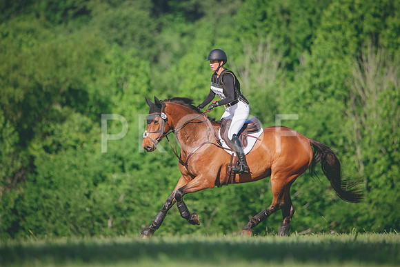 RWP_2198