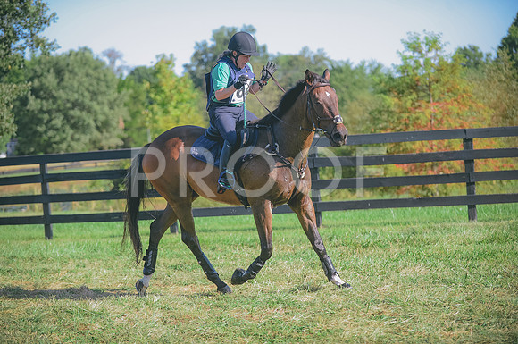 JJS_2291