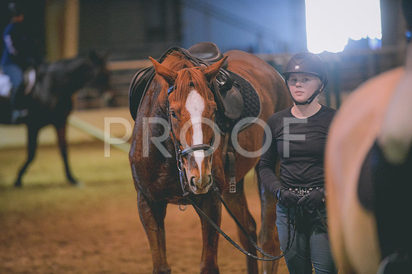 JJS_3018