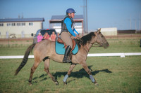 JJS_3532