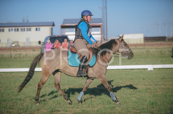 JJS_3532