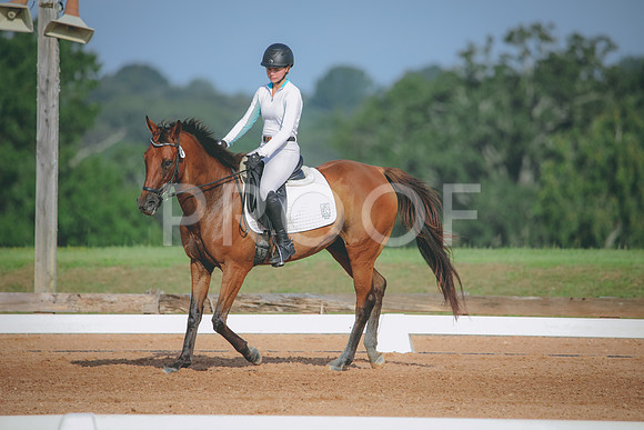 RWP_4451