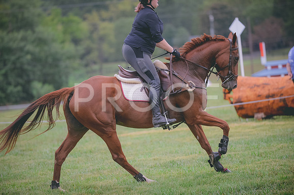 JJS_5788